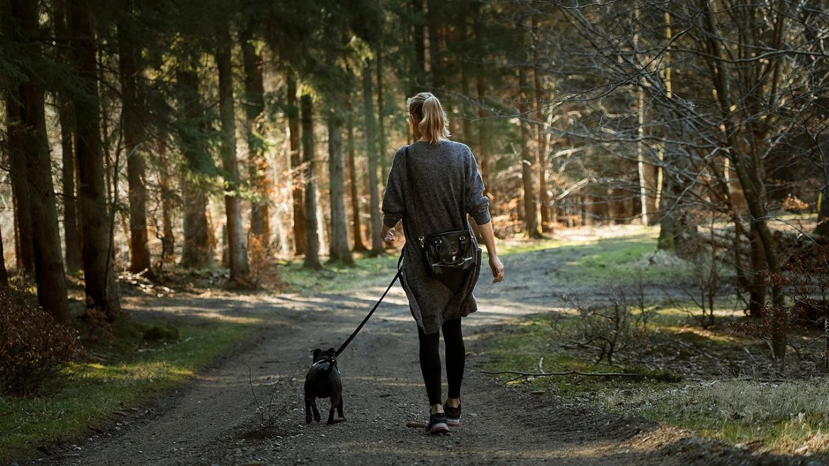 Maximizing Efficiency: Strategies for Busy Owners in Dog Walking Routines