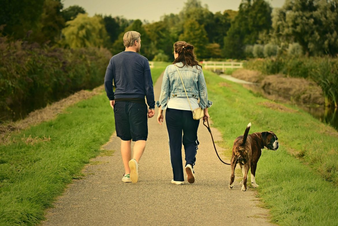 Mastering the Walk: Essential Tips for Leash Training Your Dog