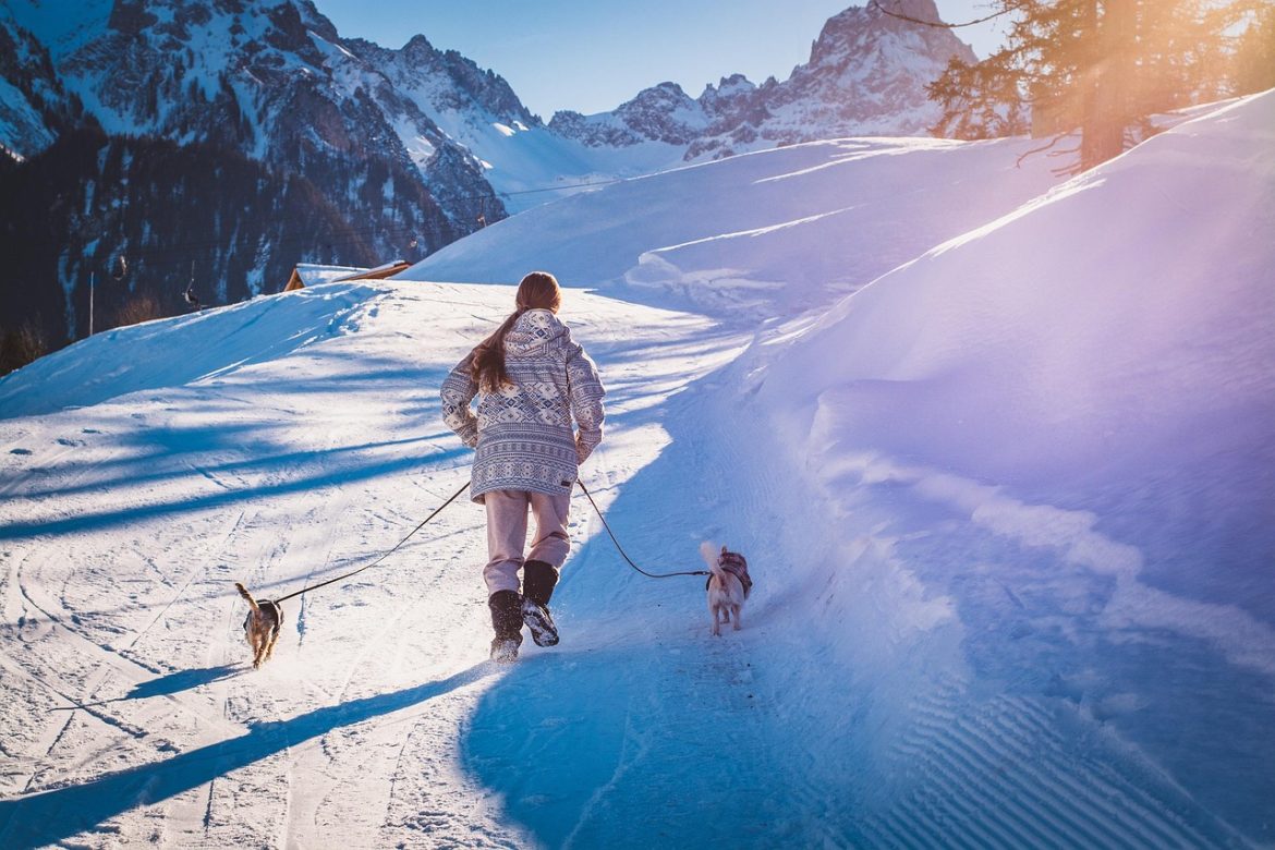 Effortless Leash Techniques for Happy Hounds