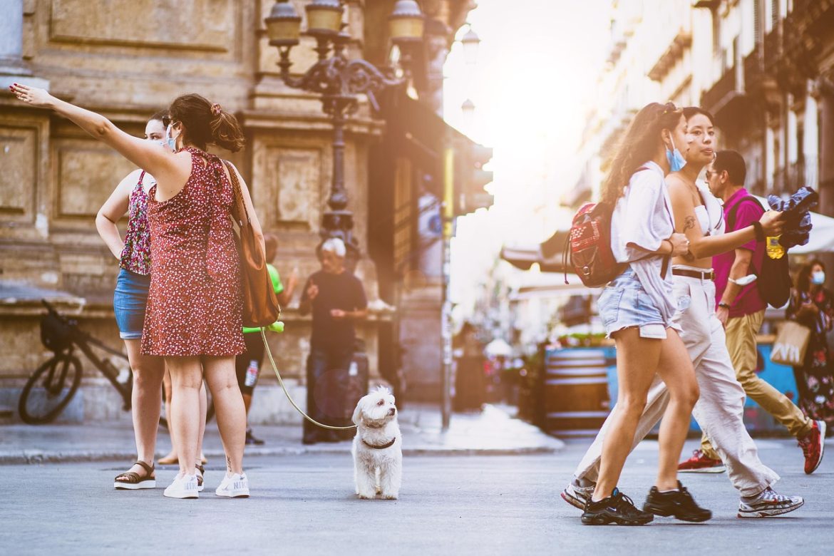 Mastering the Pre-Walk Excitement: Effective Techniques to Calm Your Dog